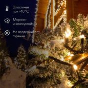 Гирлянда модульная светодиодная «Дюраплей LED» 20м 200LED мультиколор 18Вт 230В IP67 постоян. свечение провод каучук черн. (нужен шнур питания 315-000) Neon-Night 315-159