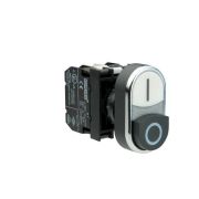 Кнопка сдвоенная выступающая с подсветкой неон (1НО+1НЗ) черн./бел. EMAS B132K21HB